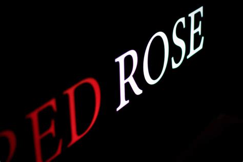 red rose heilbronn|Impressum